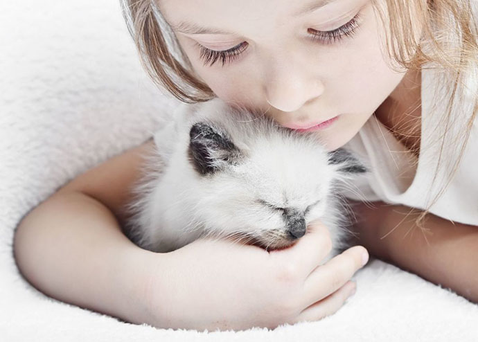cats-and-children-when-to-introduce-them-53f72f009bbe8