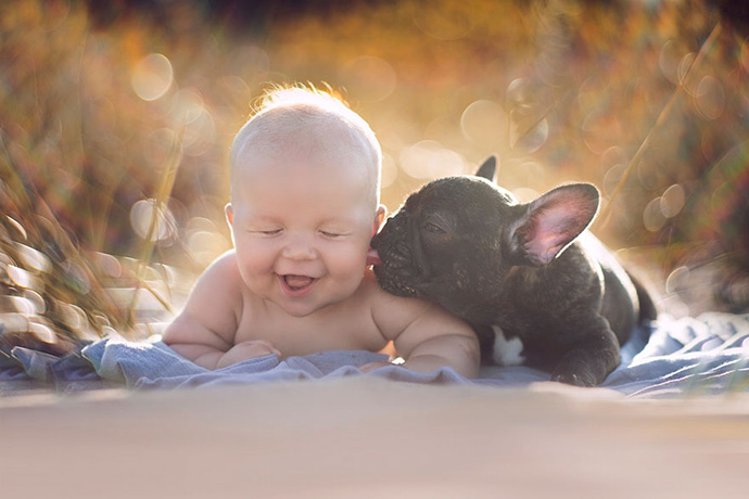 baby-dog-friendship-french-bulldog-ivette-ivens-1