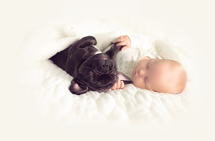 baby-dog-friendship-french-bulldog-ivette-ivens-10