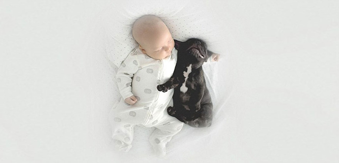baby-dog-friendship-french-bulldog-ivette-ivens-24