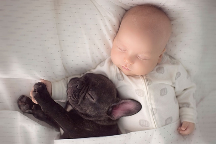 baby-dog-friendship-french-bulldog-ivette-ivens-3