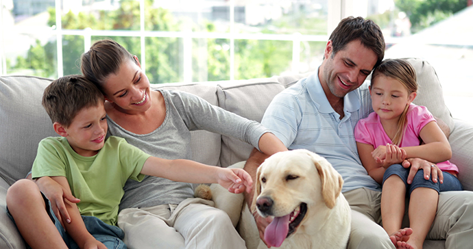 stock-footage-cute-family-relaxing-together-on-the-couch-with-their-labrador-dog-in-living-room-at-home